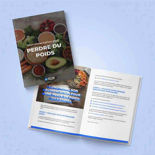 Ebook mon alimentation pour perdre du poids